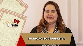 Explica Direito Filiação Socioafetiva  2019 [upl. by Kenway]