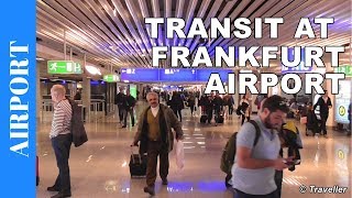 TRANSIT WALK AT FRANKFURT Airport FRA Terminal 1  Connection Flight Transfer Arriving amp Departing [upl. by Docila764]